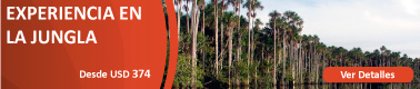 EXPERIENCIA-JUNGLA-5