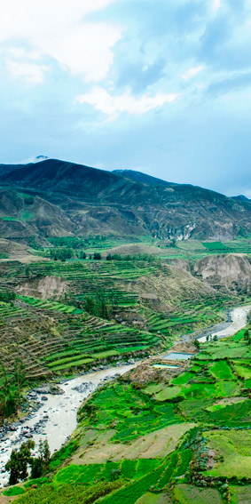 colca