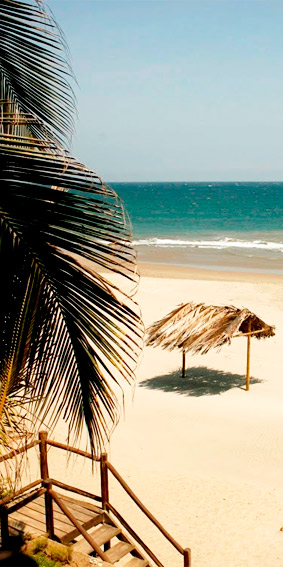 mancora